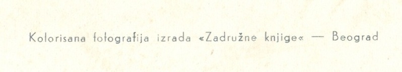 detalj sa razglednice  - tekst na razdelnoj liniji
